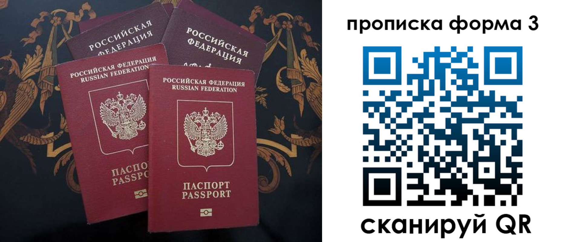 прописка законно в Реутове